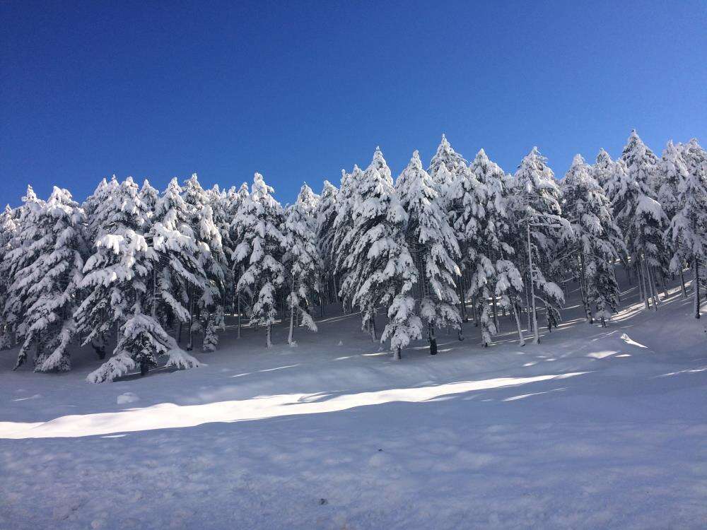 25 santim kar yağdığını duyan Konya yoluna akın etti 20